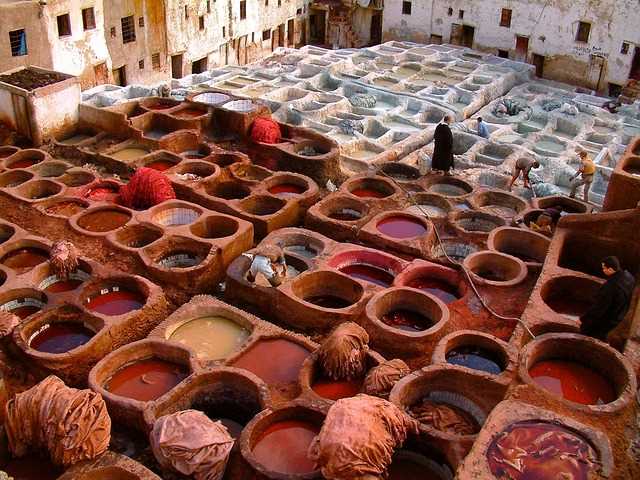 Fez