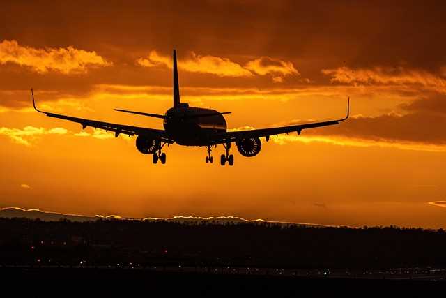Vuelo